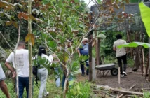 semma visita tecnica apoena
