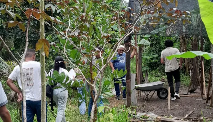 semma visita tecnica apoena